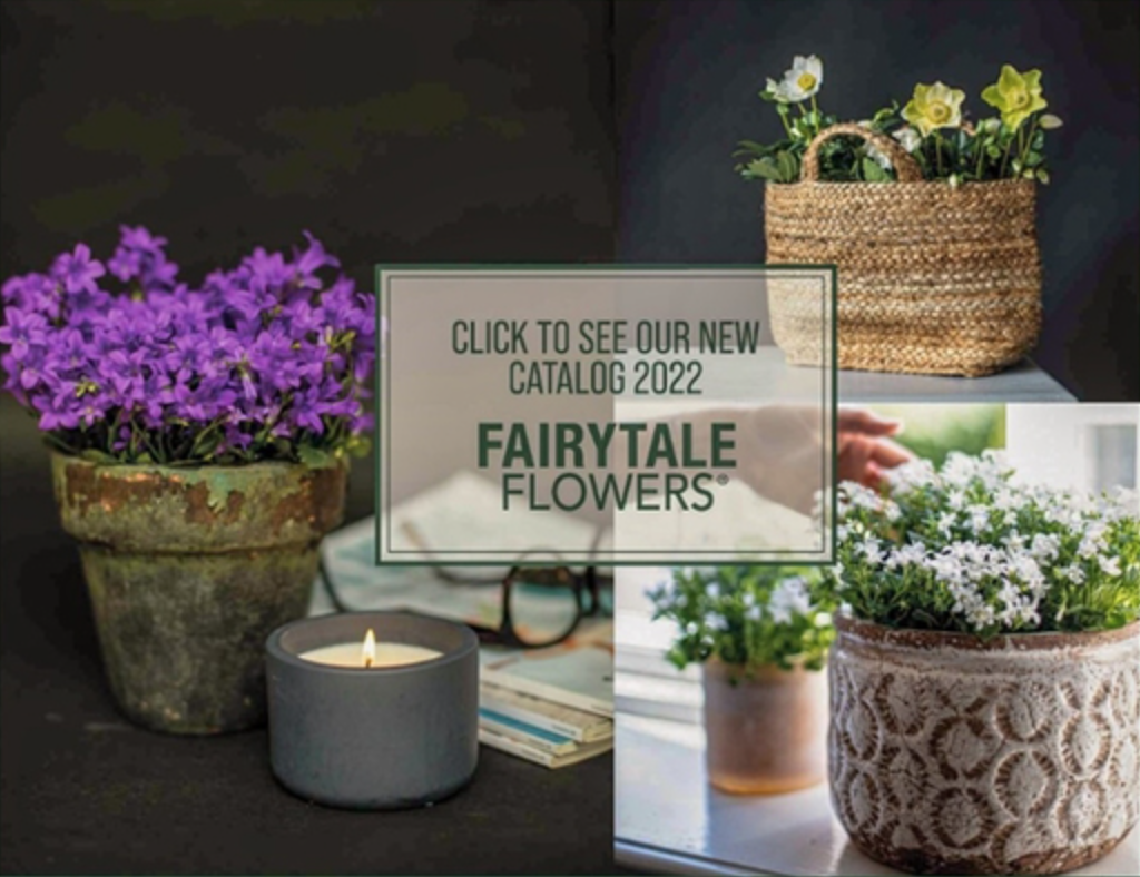 Fairytaleflowers catalogue 2022